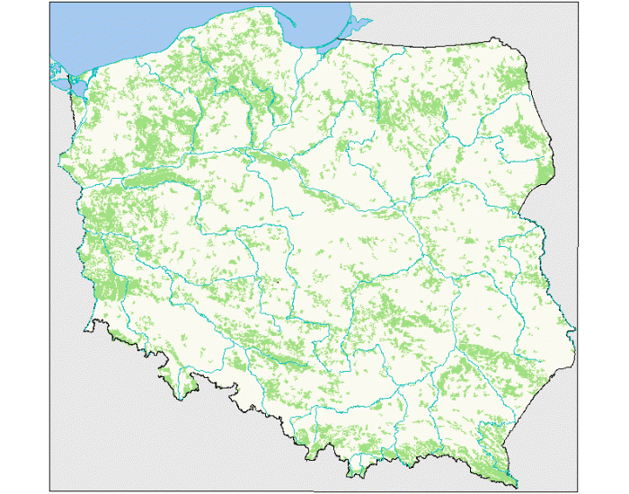 Surowce Mineralne W Polsce Quiz Surowce mineralne w Polsce Quiz