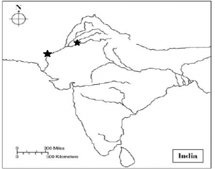 Ancient India Map Quiz