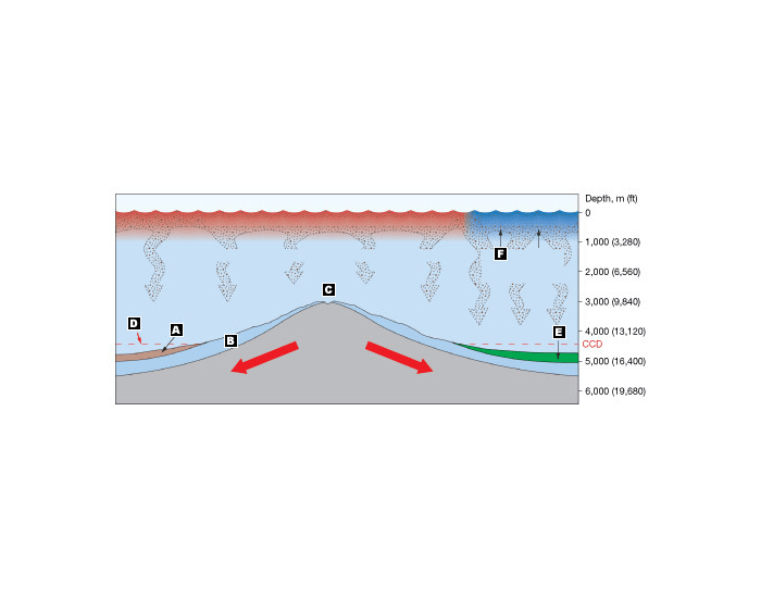 Calcium Compensation Depth Diagram — Printable Worksheet