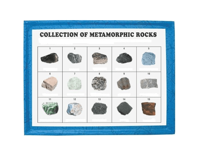 Identifying Common Metamorphic Rocks — Printable Worksheet