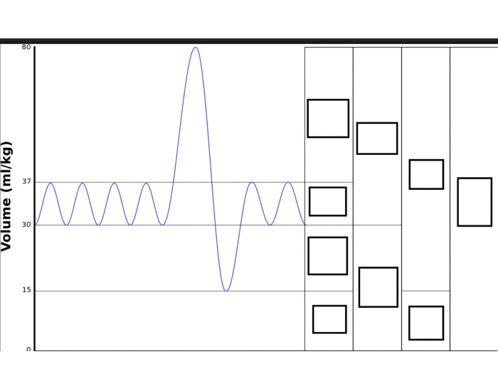 lung spirometry — Printable Worksheet