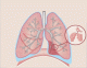 The Lungs Labeling