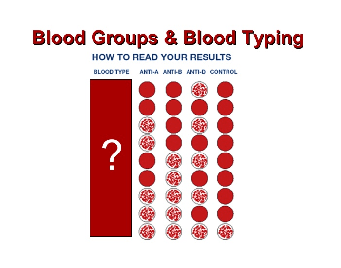 Blood Type Quiz