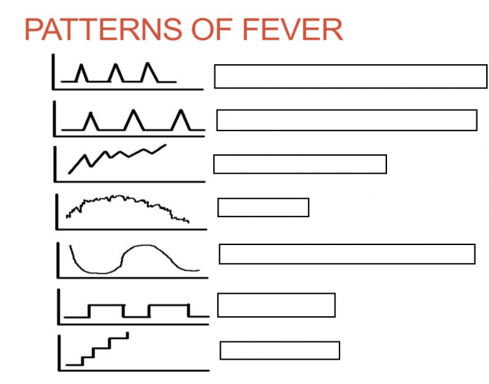 Fever Pattern Types Patterns of fever Quiz