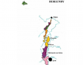 Burgundy Regions