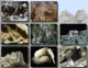 Minerals 01 - Ophiolites