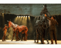 Stage: War Horse Horses
