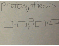 Photosynthesis equation 
