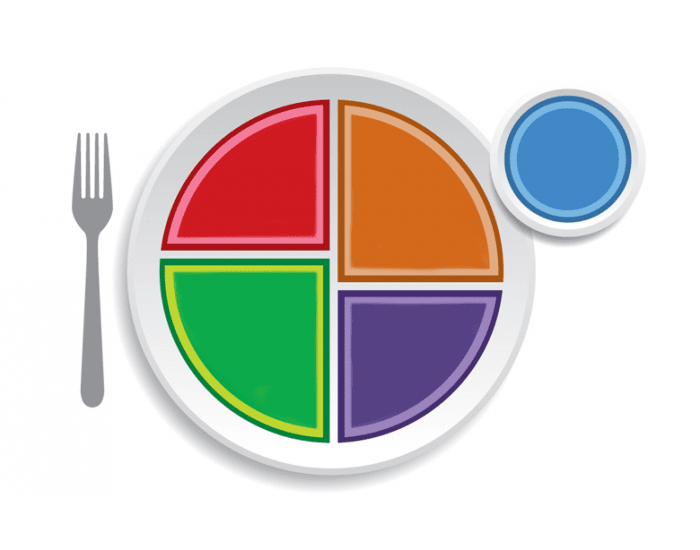 My Plate Quiz My plate quiz