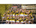 Richmond Tigers 2017 AFL Premiership Team
