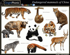 Endangered mammals of China