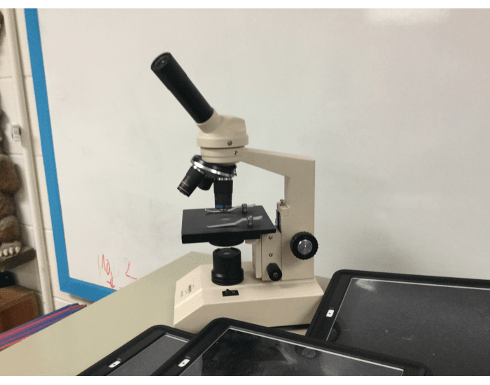 Zachary’s microscope game