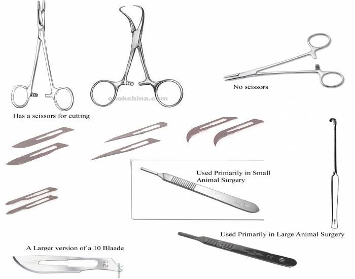 Miscellaneous Surgical Instruments Quiz