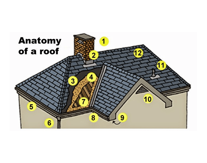 Roof Anatomy Quiz