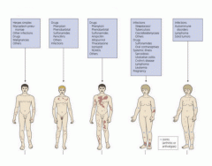 Etiologies of skin diseases