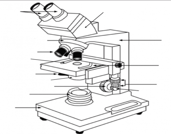 Partes do microscópio Quiz