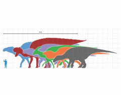 Largest Ornithopod Dinosaurs