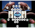 2008 NFL Pro Bowl Lineup 2