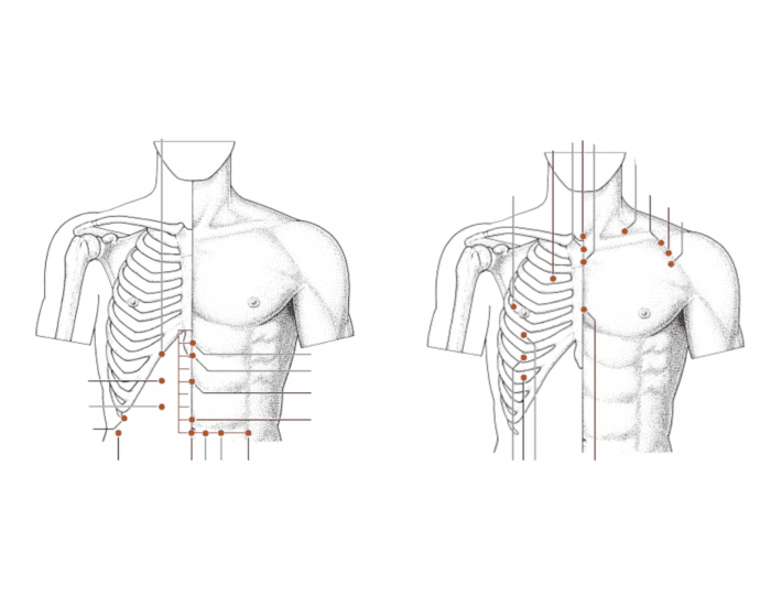 Point For Chest Major Points of Abdomen/Chest Quiz