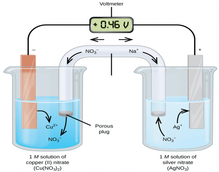 Label this galvanic cell Quiz