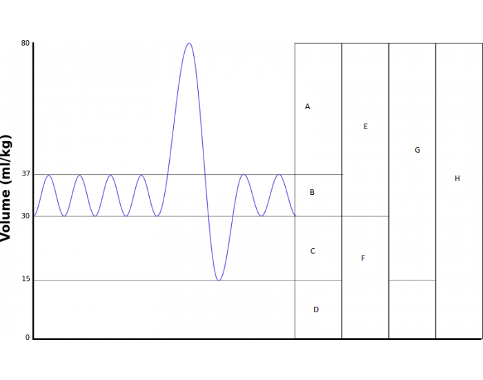 Spirogram Identification Quiz