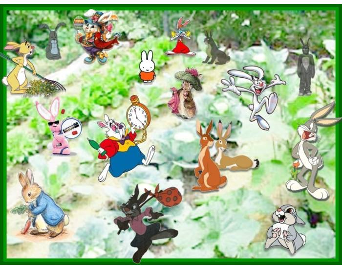 Famous Rabbits Quiz