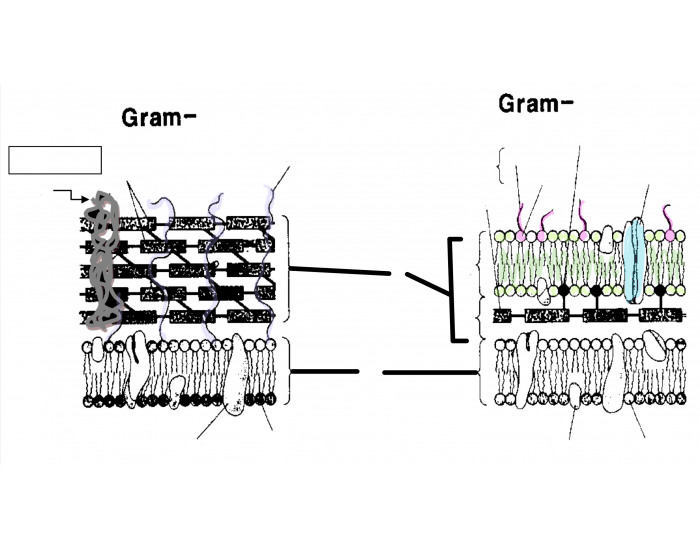 Cell Block 1 Meaning Unveiling Institutional Isolation Cell Block 1 Meaning Unveiling Institutional Isolation
