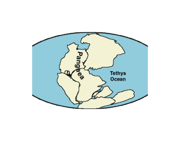 Pangaea Map Printable Worksheet