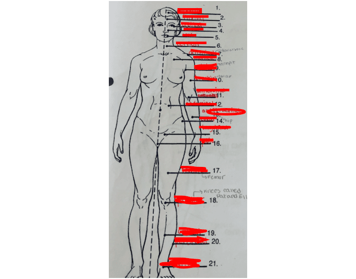 Push Body Labeling body labels pt.1 Quiz