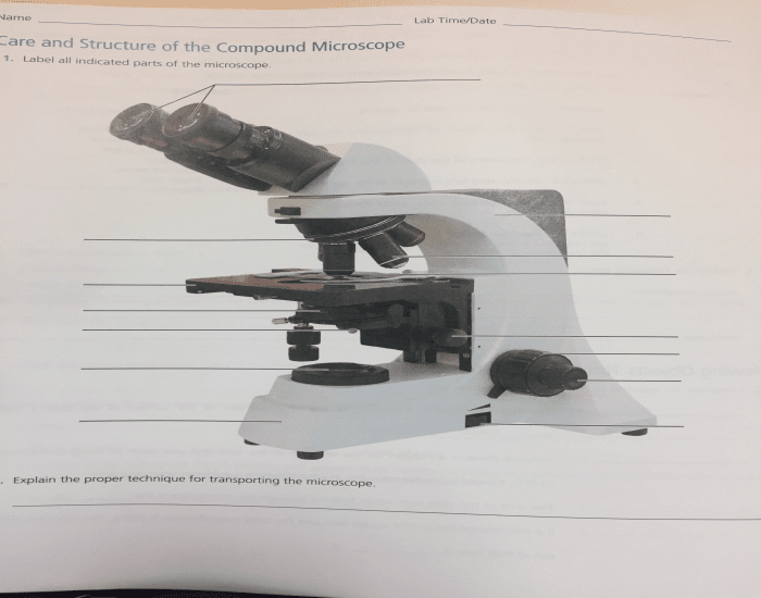 Identifying Parts Of A Microscope Printable Worksheet identifying-parts-of-a-microscope-printable-worksheet