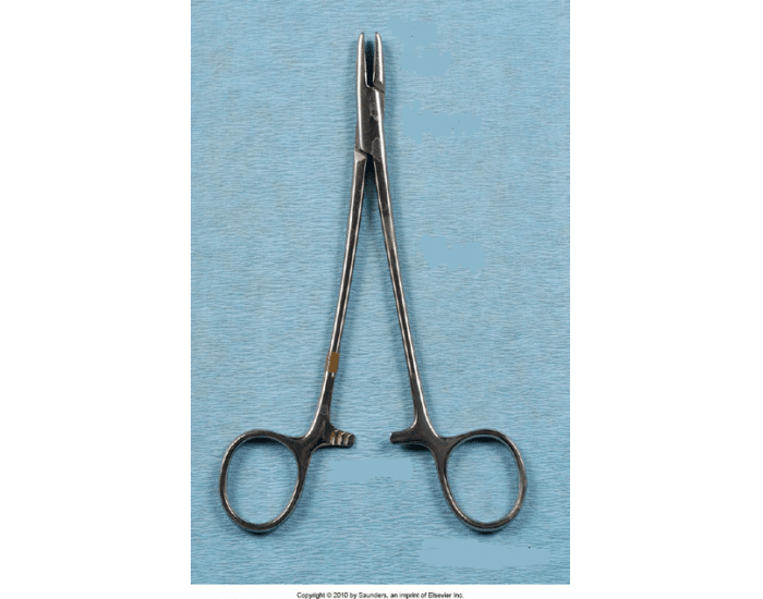 Parts of a Hinged Instrument Quiz