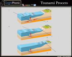 Tsunami process