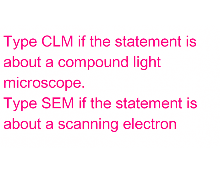 Types of Microscopes: CLM (light) / SEM (electron) Quiz