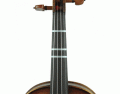 Violin Fingerings (Beginner)