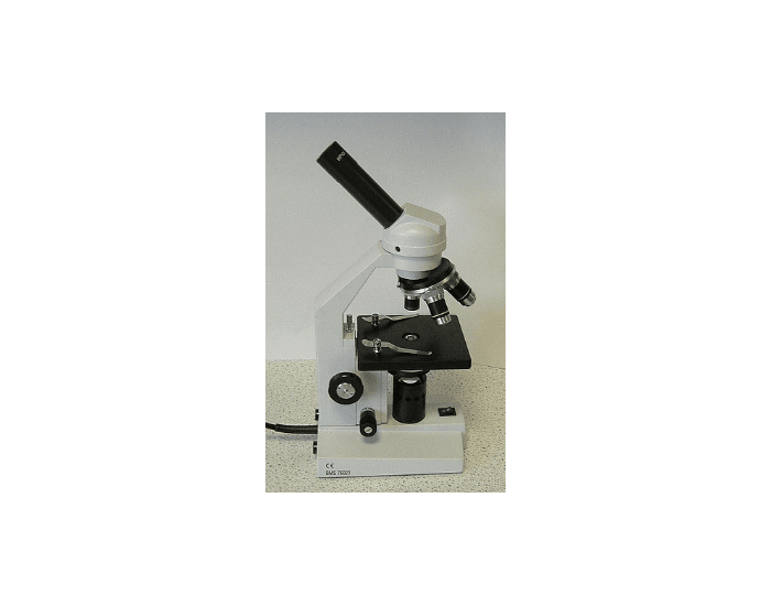 Compound Light Microscope Labeling — Printable Worksheet