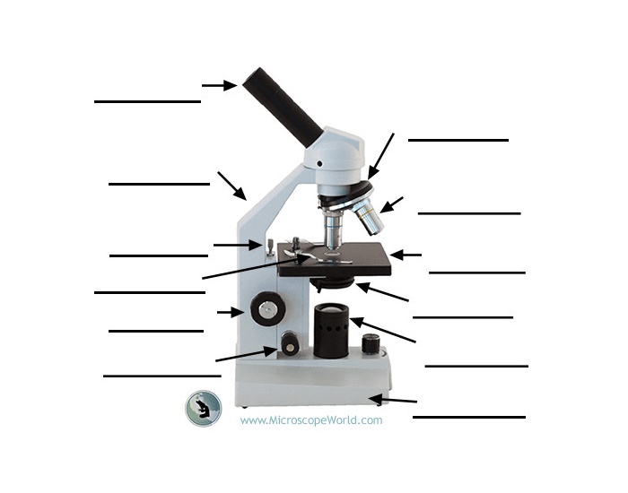 microscope-functions Quiz