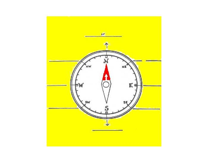 The Compass Quiz