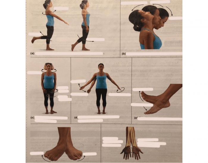Game Movement Types Types of movements Quiz