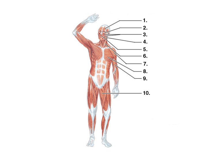 Score Labeling Exercise Labeling Exercise 3 Quiz