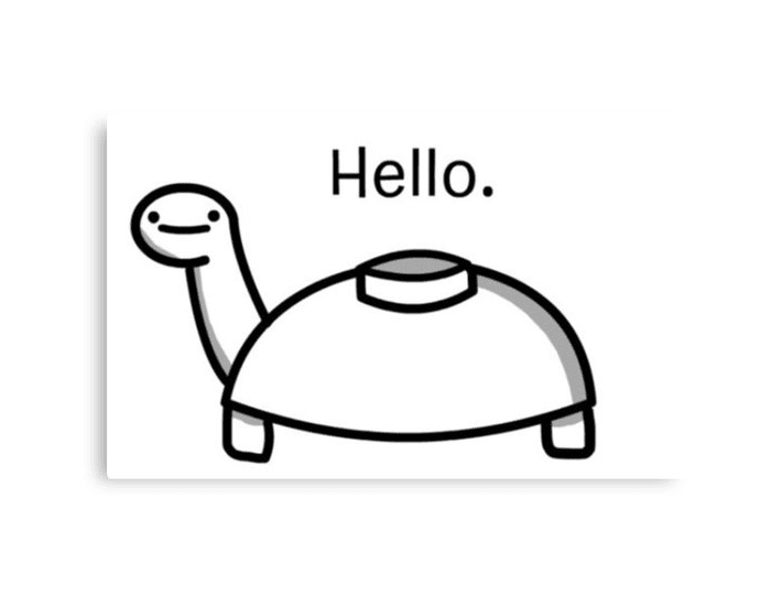 Mine turtle!!! Quiz