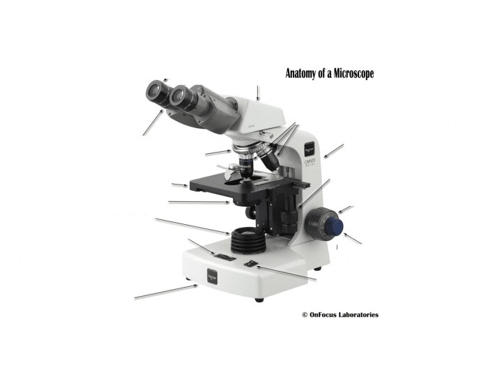 Microscope Test Page Microscope Parts Test Questions
