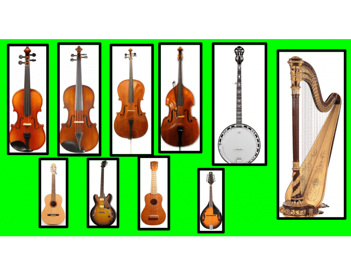 Strings Instruments Quiz