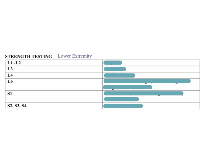 Strength testing- LE Quiz