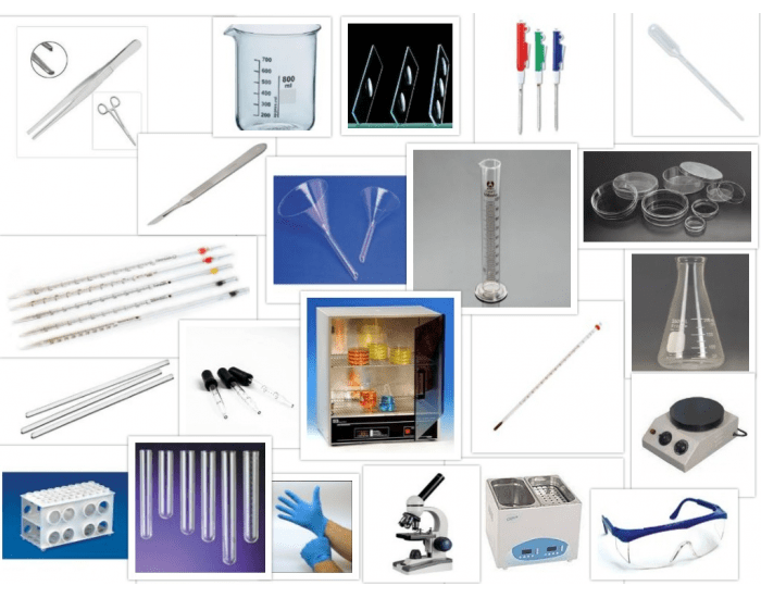 All Tools Ina Lab laboratory tools Quiz