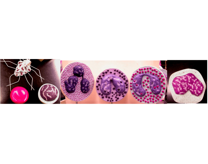 Formed Elements of the Blood Quiz