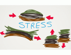 Stress and faults