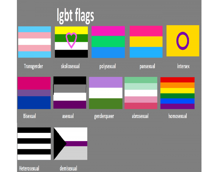 LGBTQ+ pride flags Quiz