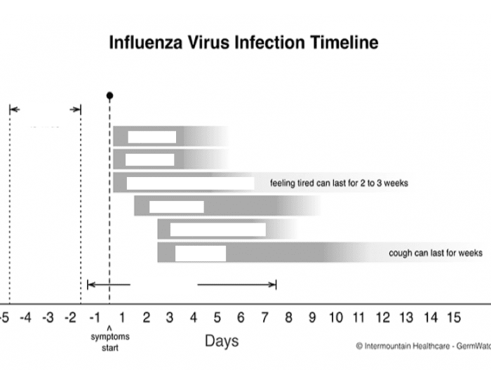 flu timeline Quiz