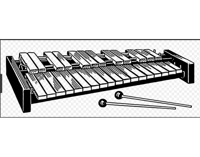 Xylophone Quiz