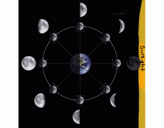 Moon phases, tides, and eclipses